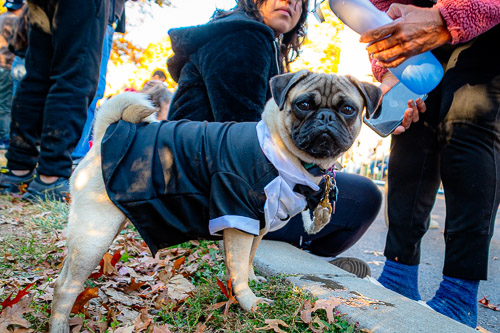 Tarrytown, NY - OCT 2024